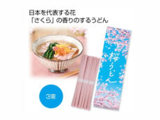 桜うどん3束 1個